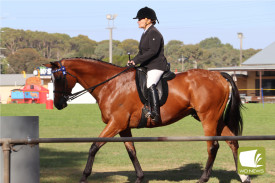 The Heytesbury Agricultural Show saw a successful display of showjumping.