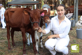 There was no shortage of visitors to see dairy cows.