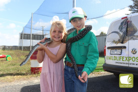 Showgoers got up-close with a snake thanks to WildlifeXposure.