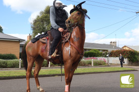 A headless horseman was a talking point this year.