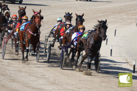 On track: Harness racing was the winner as crowds turned out in force for the Terang Harness Racing Club’s Family Race Day last week.