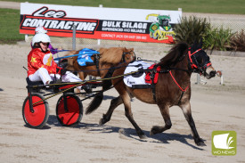 Around they go: The pony trots provided a bit of fun for attendees.