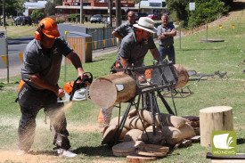 There were many different types of wood chopping heats taking place throughout the day on Saturday.