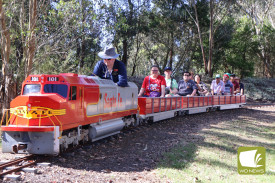 A number of miniature trains were running for all to enjoy.