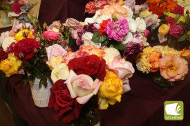 On display: The hall was a sea of colour.