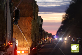 The convoy made its way into Camperdown before turning off at the iconic clocktower and heading towards its destination at the former saleyards – which served as the Need for Feed base of operations.