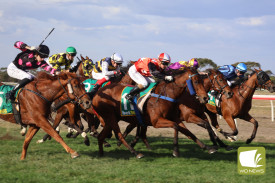 Horses thundered home.