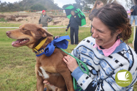 Victorian Agricultural Societies Dog High Jump medium dog category winner Boss the kelpie and proud owner Clare Porter.