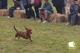 The Dachshund Dash was among the favourite events seeing strong crowds last Saturday.