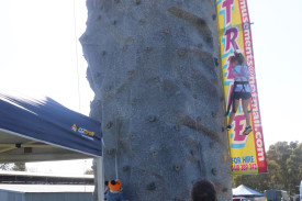 Brave souls: Children had a blast scaling the rock wall at this year’s show.