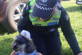 Cuteness: Camperdown Police’s Natalie Jorgenson got up close with a four-legged officer, who competed in the Pet Parade.