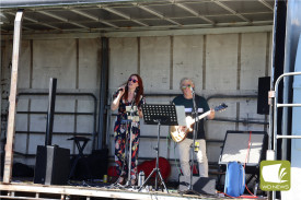 Live music kept the crowd entertained.