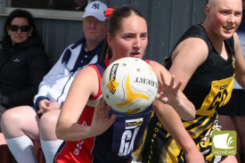 18u-netball-4-1726717023.jpg