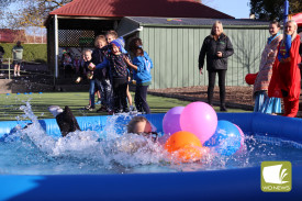Teachers splashed into the pool in their dress-ups.