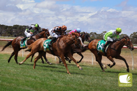 2002-farmers-day-out-races-2.jpg