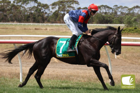Terang and District Racing Club president Shane Scally praised the success of this year’s Farmers Day Out races.