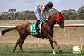 Eager racegoers lined the track to see the horses thundering home.