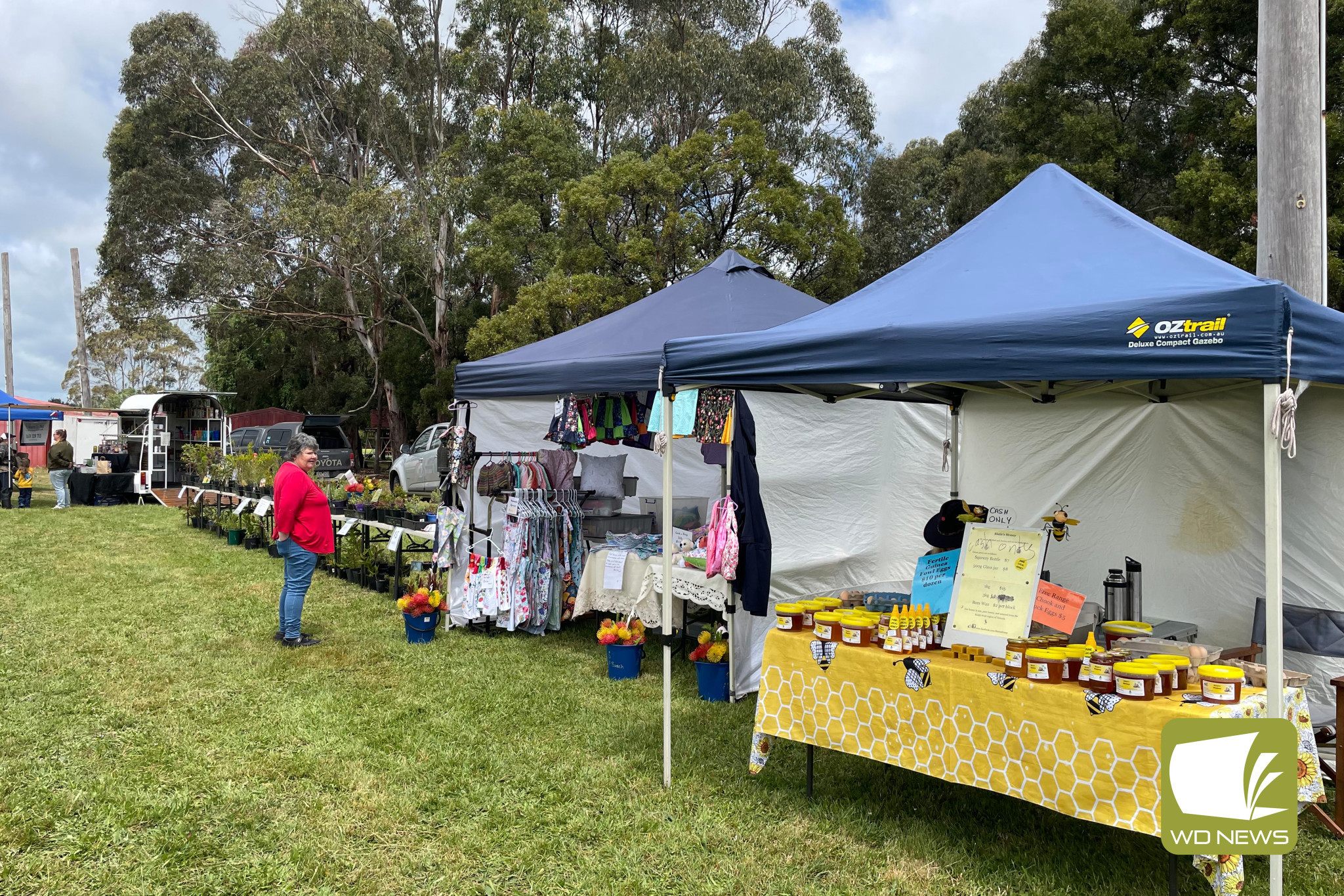 From car parts to locally produced honey, the Cobden Swap Meet and Car Show had it all.