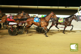 2025-terang-harness-cup-10.jpg