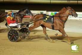 Keayang Chucky, crosses the line first in the Matthews Petroleum Terang Trotters Cup.