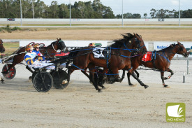2025-terang-harness-cup-4.jpg