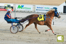 2025-terang-harness-cup-5.jpg