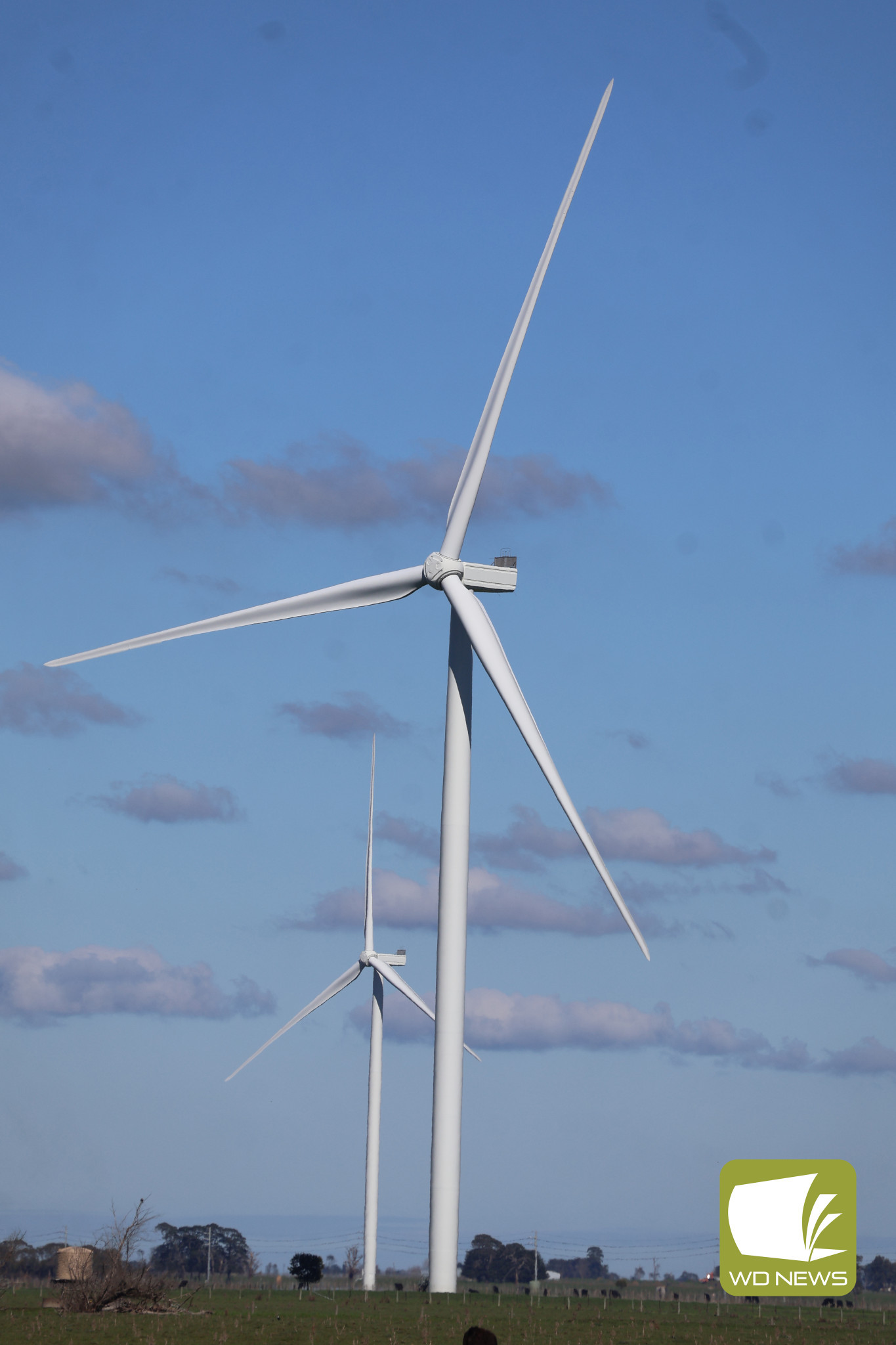 Planning: The designation means Mortlake and surrounds will be considered among the most suitable areas in the state for the development of new renewable energy projects.