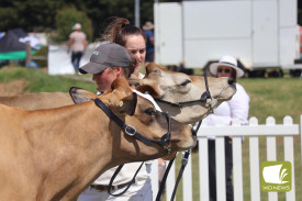 2111-noorat-show-11.jpg