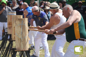 Swing away: Woodchopping drew large crowds this year.