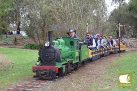 All aboard: Cobden Miniature Railway offered up 1170 rides as part of the milestone celebration over the weekendAll aboard: Cobden Miniature Railway offered up 1170 rides as part of the milestone celebration over the weekend.