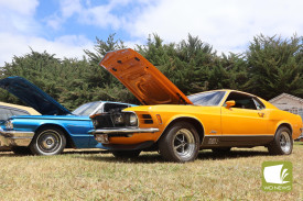 The roar of the engines proved popular with this year’s attendees.