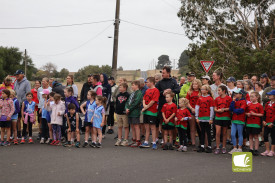 Lining up: The Noorat to Terang Fun Run and Walk drew a sizable number of entries this year