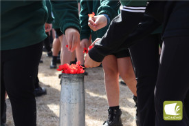 Many students partook in laying poppies for the fallen, honouring those who have been lost.