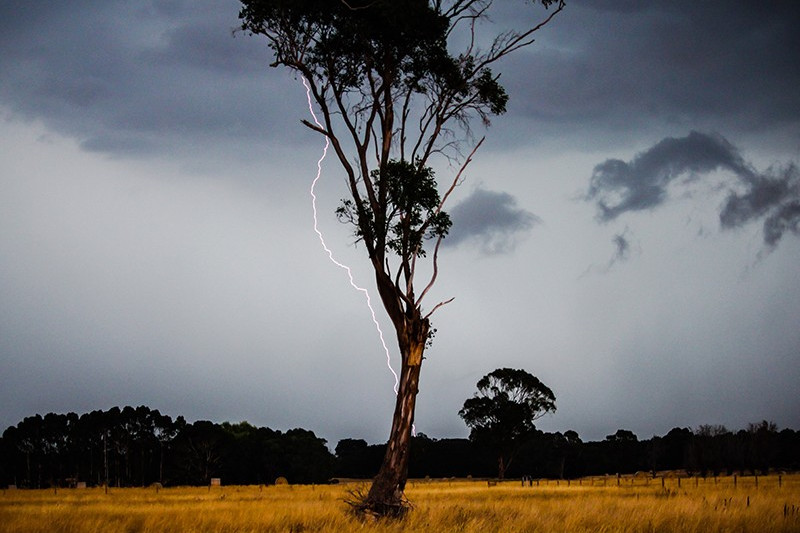 Wild weather strikes - feature photo