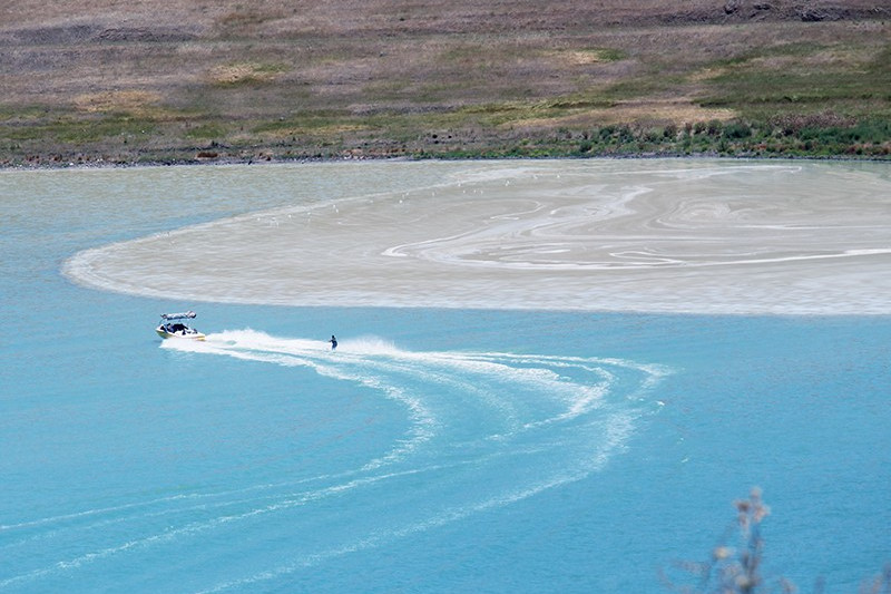 Blue-green disgrace - feature photo
