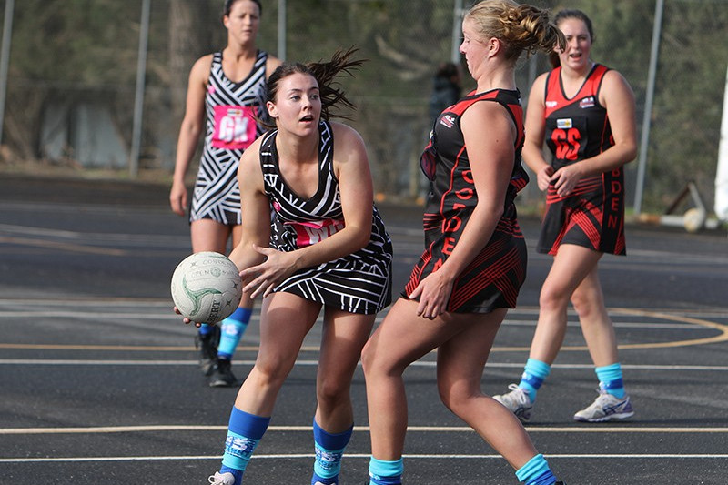 Pies display fight against flag favourites - feature photo