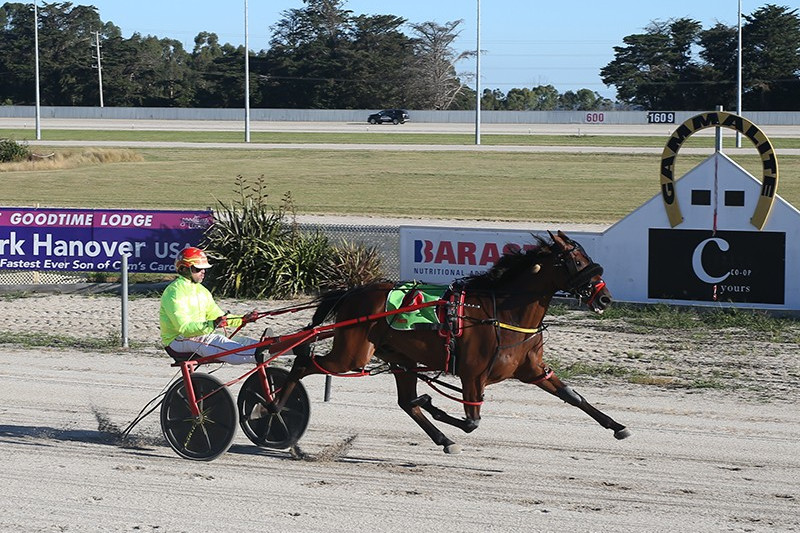 Harness meet lights up Dalvui - feature photo