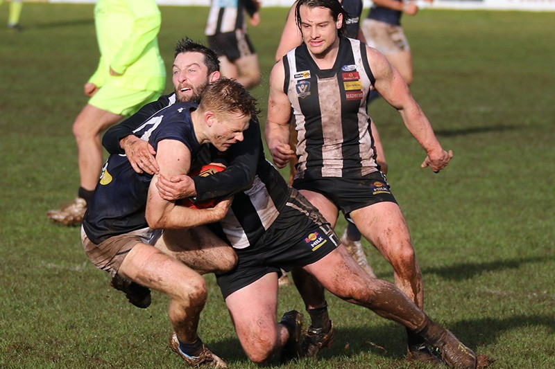 Magpies fall at home to Blues - feature photo