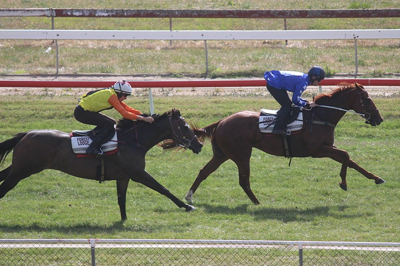 Racecourse hosts nine trials - feature photo