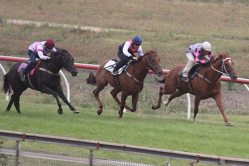 Terang hosts top runners - feature photo