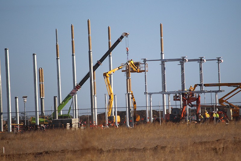 Wind dollars low but welcomed - feature photo