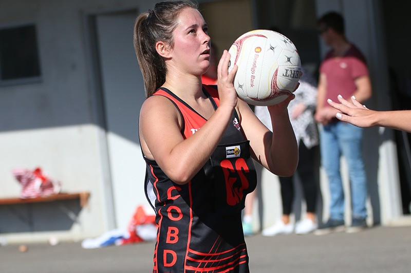 Bombers off to fast start - feature photo