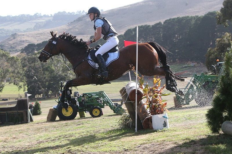 Increased entries for horse trials - feature photo