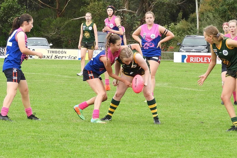Female football season begins - feature photo