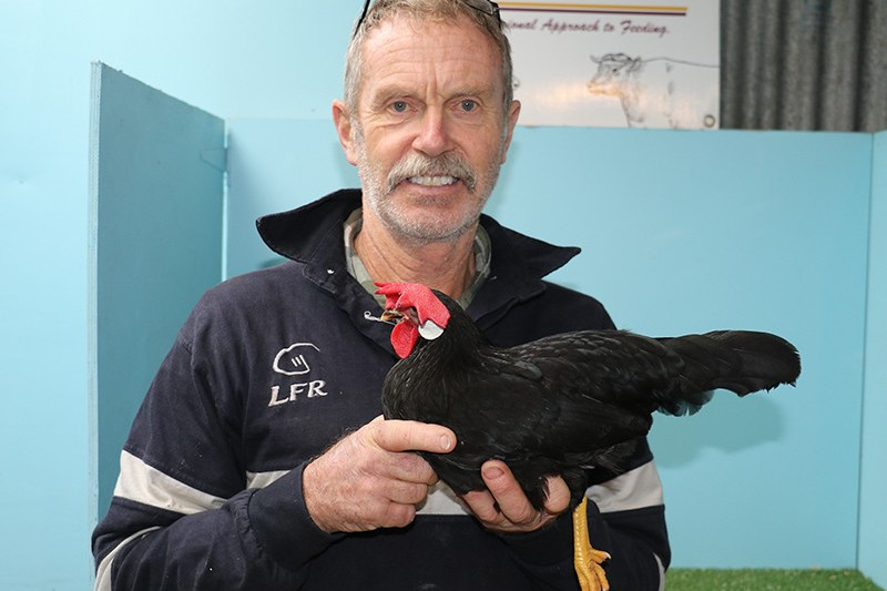 Nash takes out poultry club’s top prize - feature photo