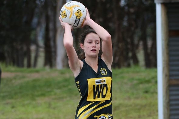 Business as usual for Tiger netballers - feature photo