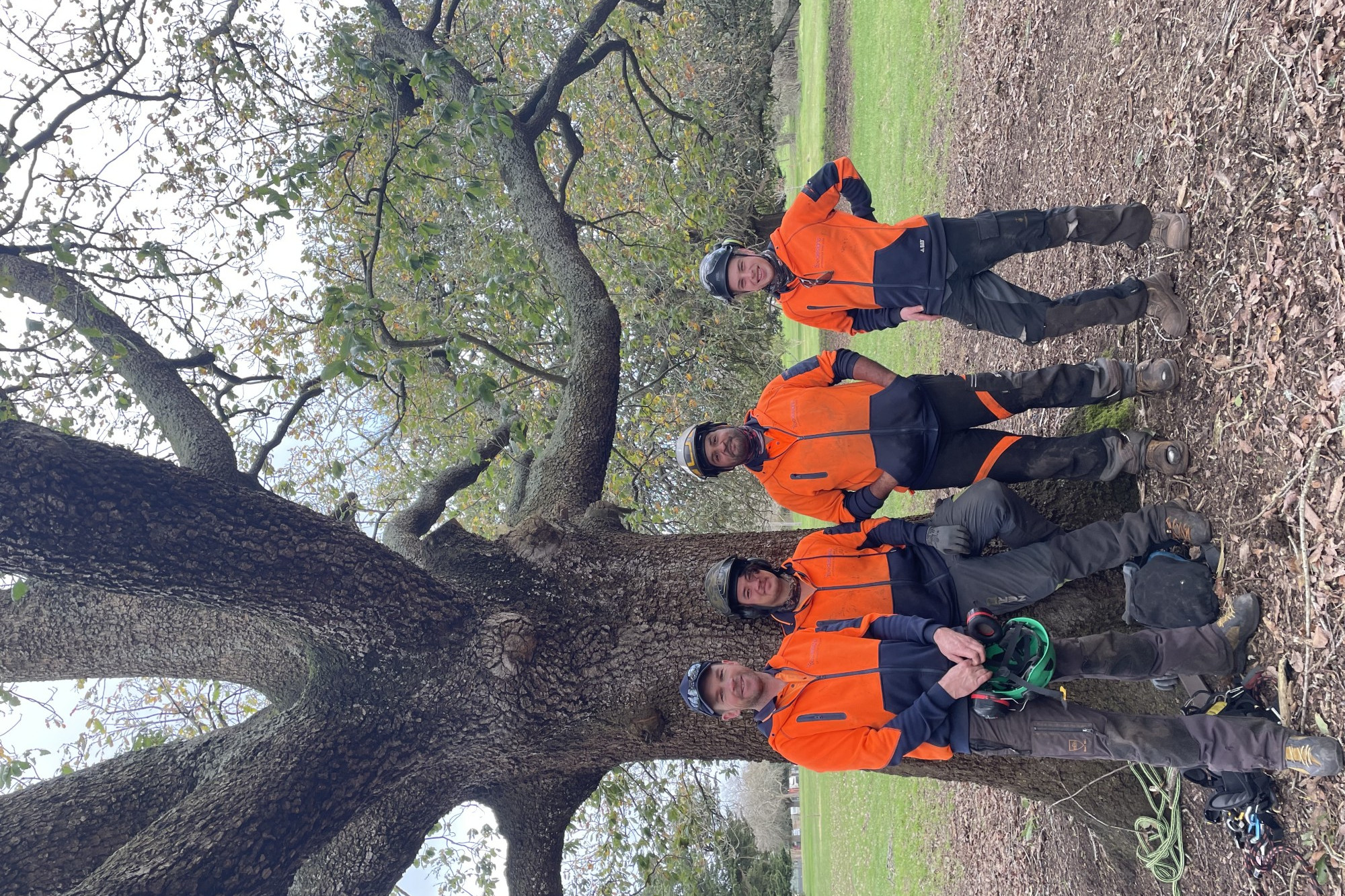 Key works: The team of arborists from Tree Designs Australia (from left) Matt Weatherhead, Rex Roldan, Kiarn Uliando and Jayden Rance have been working on Camperdown’s arboretum this week.