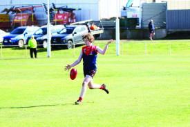 E8v8FnB9SQtab7nXsQW9.JPG
