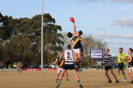 Ruckman Rhys Jansen Van Beek. 