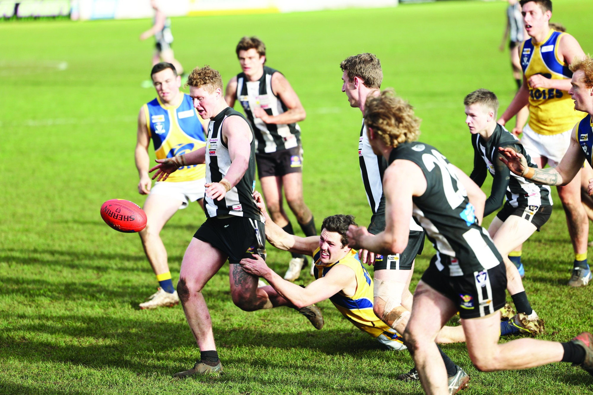 Tough loss: Toby Kent clears the ball in Camperdown’s loss to North Warrnambool. Photo courtesy of Gary O’Neil